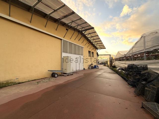 Capannone in vendita a Uzzano, Forone