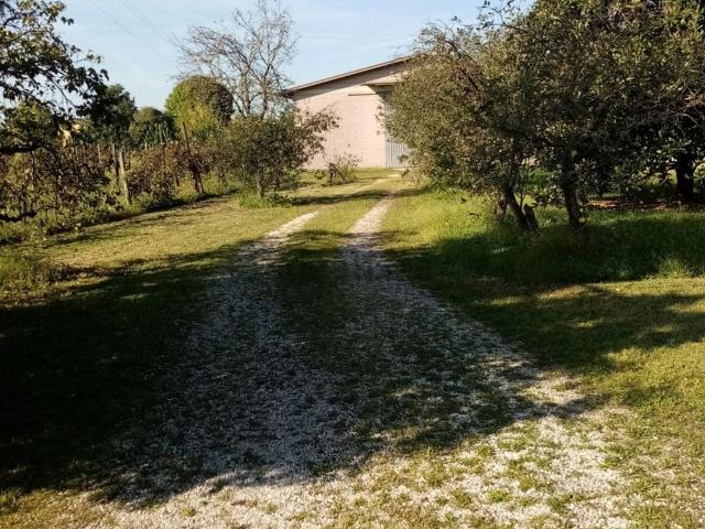 Capannone in vendita a Mortegliano, Friuli-Venezia Giulia