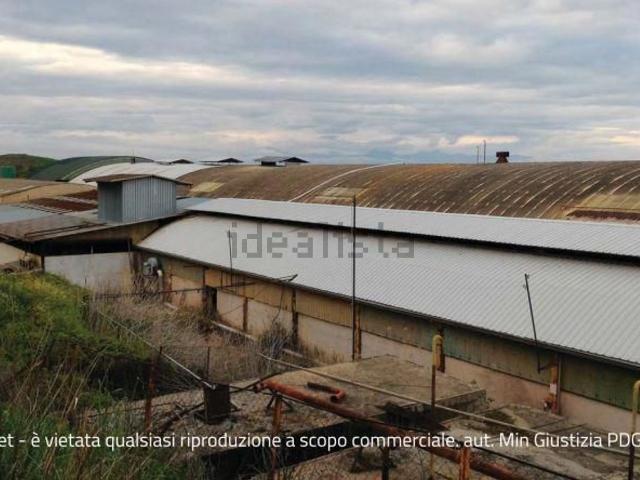 Capannone in vendita a Calabria, Cosenza