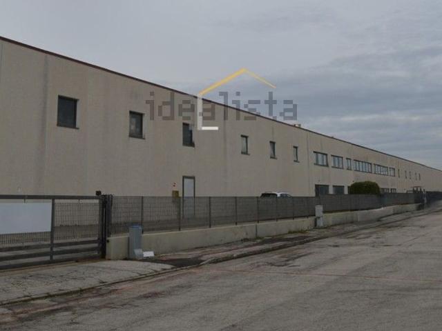 Capannone in vendita a Cesanella, Senigallia