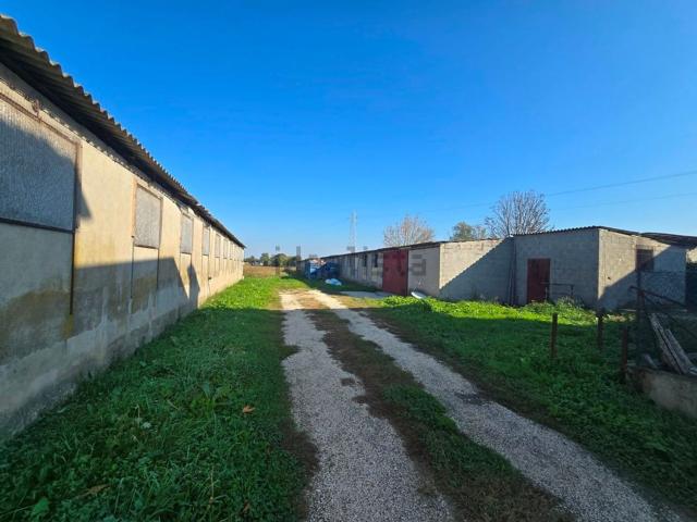 Capannone in vendita a Fossò, Veneto