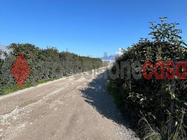 Capannone in vendita a Olevano Sul Tusciano, Campania