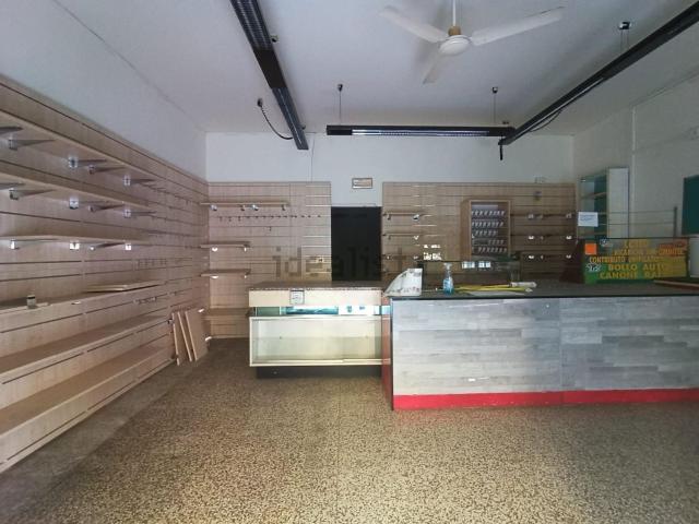 Capannone in vendita a Colognora di Compito, Capannori