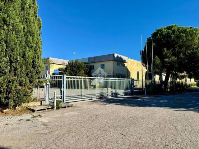 Capannone in vendita a Unione dei Comuni della Val Vibrata, Colonnella
