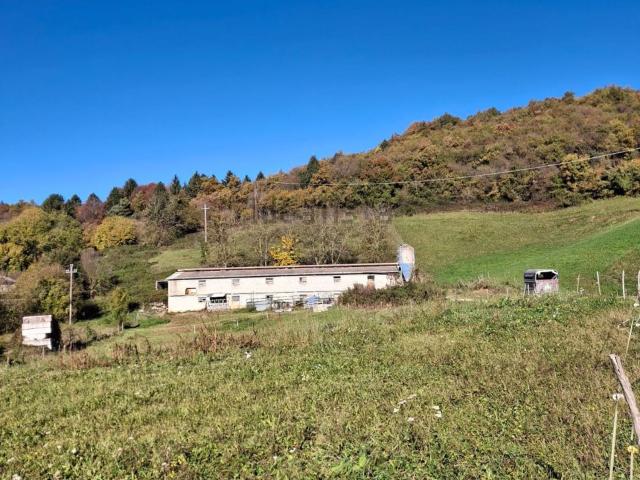 Capannone in vendita a Sant'anna D'alfaedo, Veneto