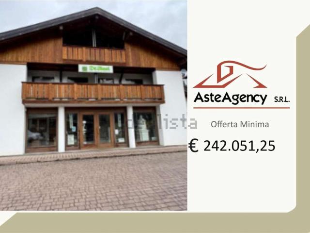 Capannone in vendita a Pieve Di Cadore, Veneto