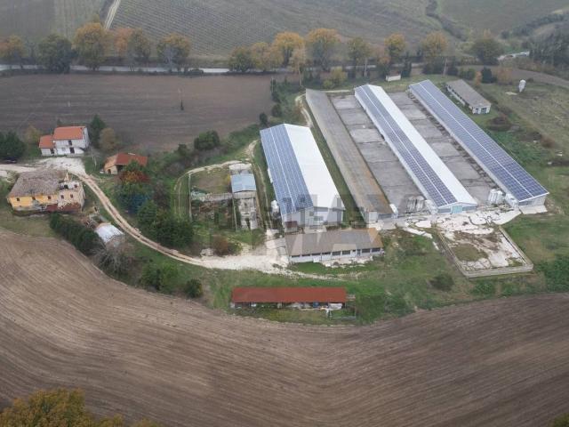 Capannone in vendita a Marche, Ancona