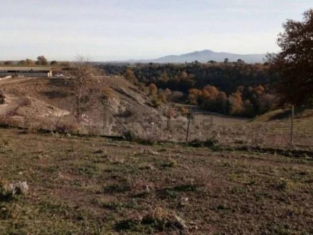 Capannone in vendita a Viterbo, Lazio