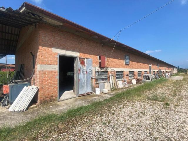 Capannone in vendita a Mancalacqua, Sona