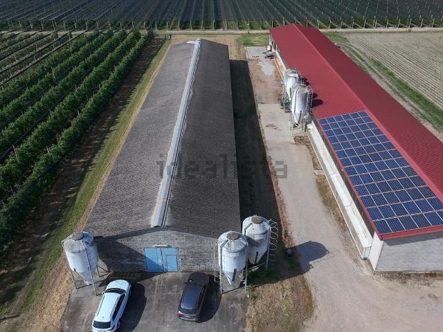Capannone in vendita a Legnago, Veneto