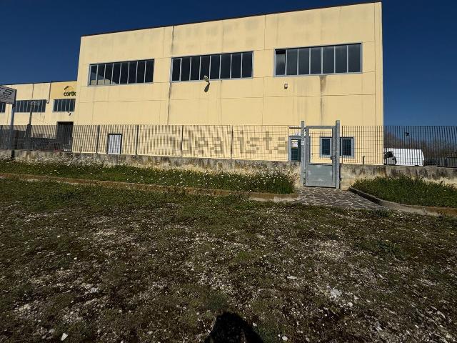 Capannone in vendita a Moscufo, Abruzzo