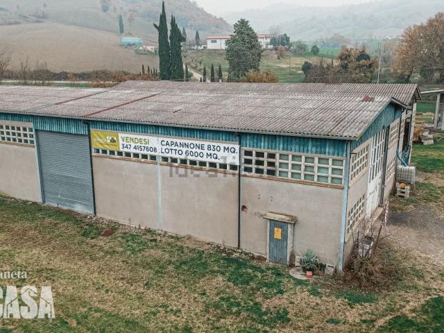 Capannone in vendita a Gualdo, Roncofreddo