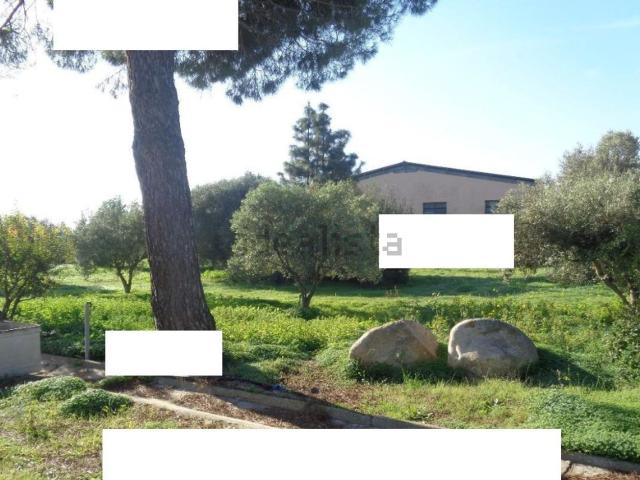 Capannone in vendita a Assemini, Sardigna/Sardegna