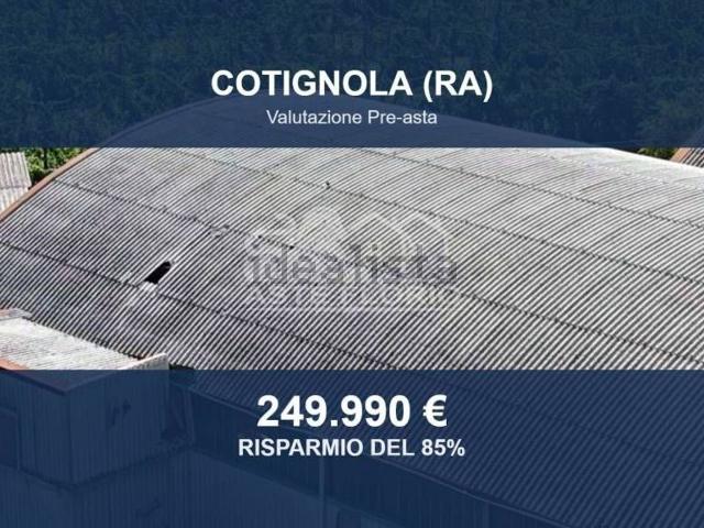Capannone in vendita a Barbiano, Cotignola