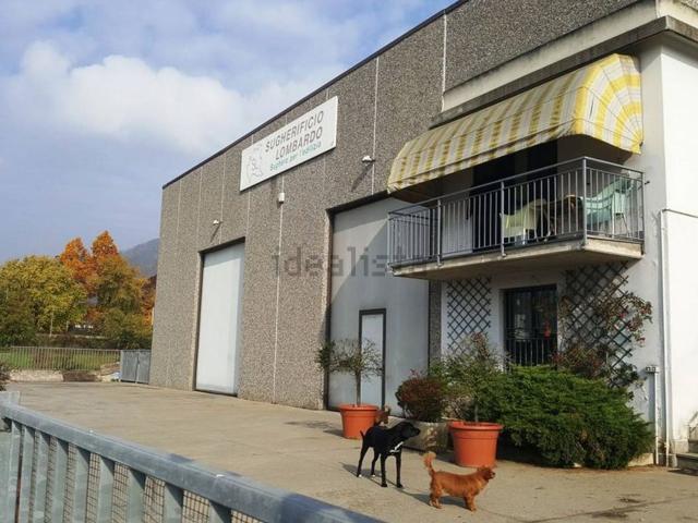 Capannone in vendita a Carvico, Bergamo