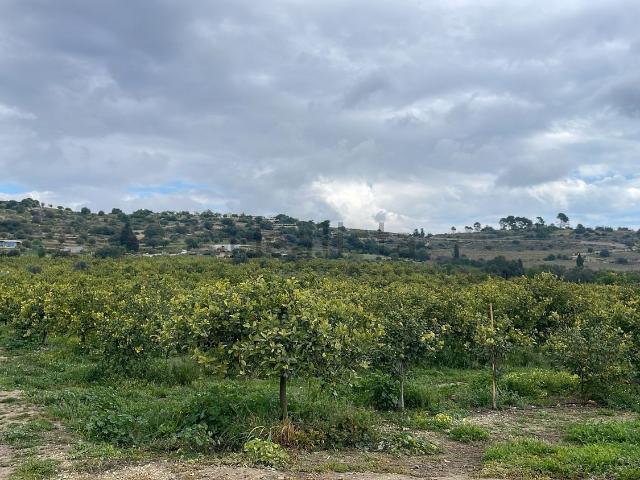 Capannone in vendita a Noto, Sicilia