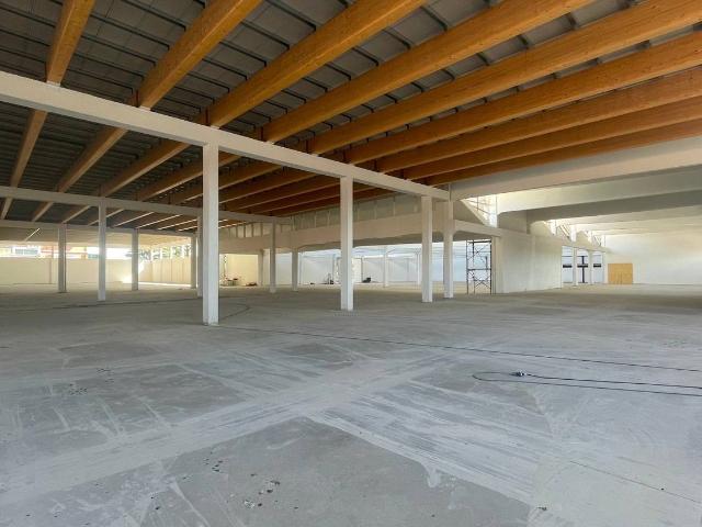 Capannone in affitto a Paganico, Capannori