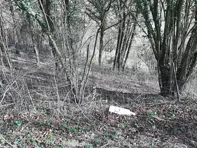 Terrain vente à Épinal, Thaon-les-vosges