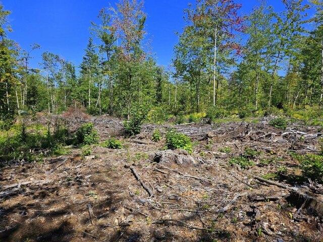 Land for sale in New Sharon, Franklin County