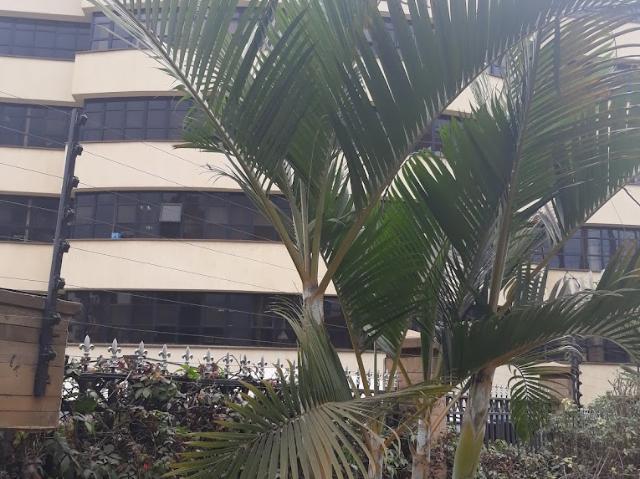 Commercial for rent in Westlands, Nairobi