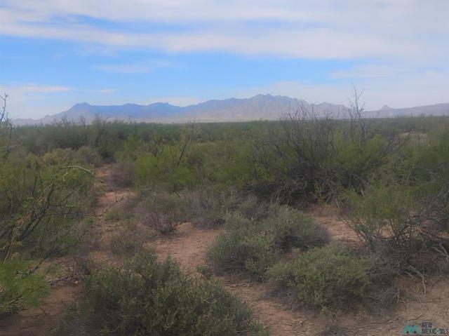 Land for sale in Luna, New Mexico