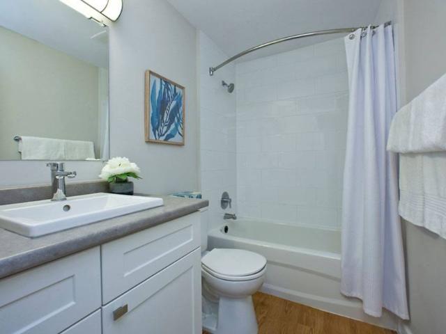 Apartment for rent in Kitchener, Ontario