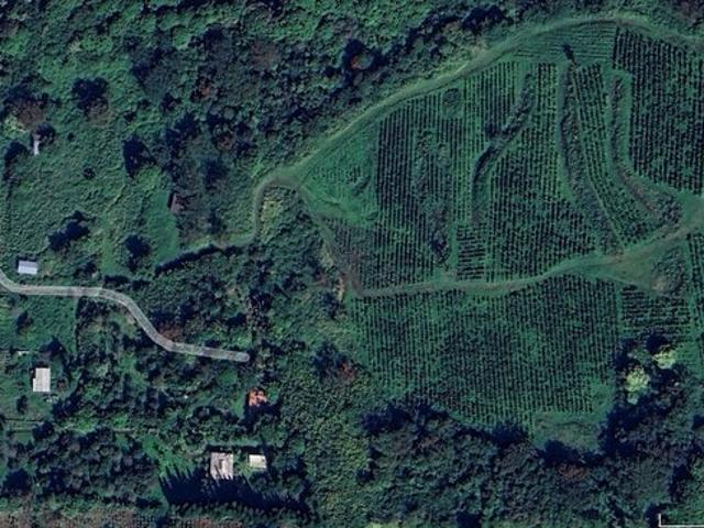 Farm for sale in Hawaii