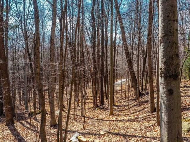 Land for sale in West Dover, Vermont