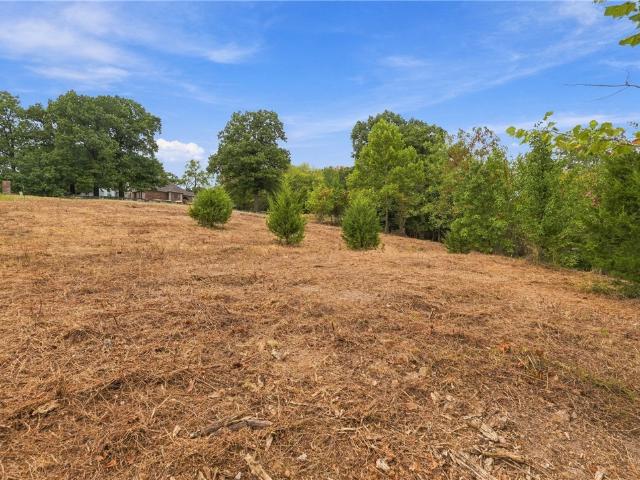 Land for sale in Pea Ridge, Benton County