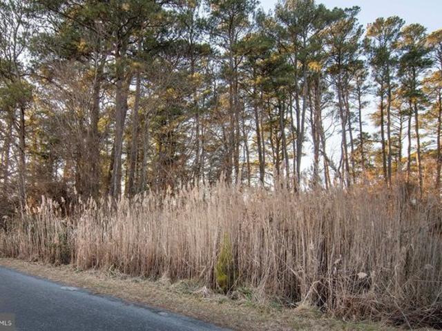 Land for sale in Virginia