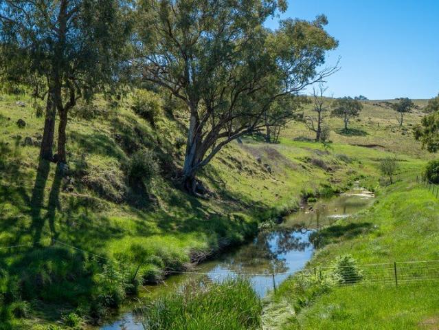 Cottage for sale in Cudal, New South Wales