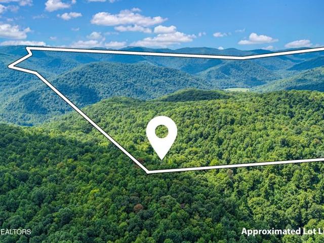 Land for sale in Oneida, East Tennessee