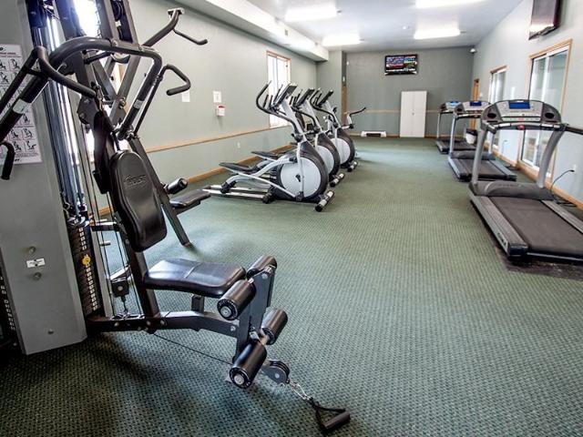 Apartment for rent in Arva, Ontario