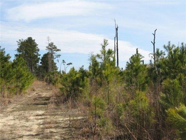 Land for sale in Barco, North Carolina