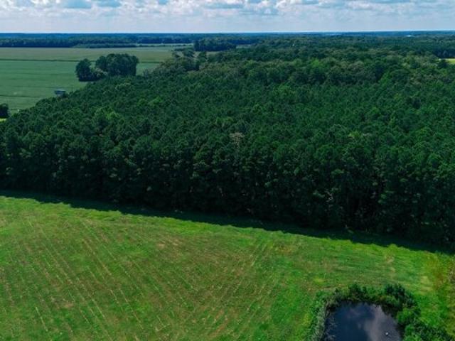 Land for sale in Moyock