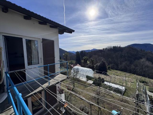 Immobilie kaufen in Bedigliora, Tessin