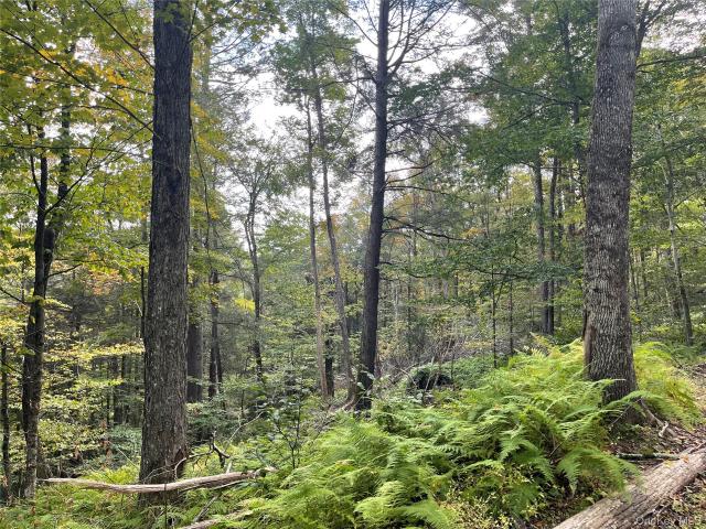Land for sale in East Branch, New York