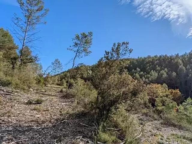 Terrain vente à Brignoles, Carcès