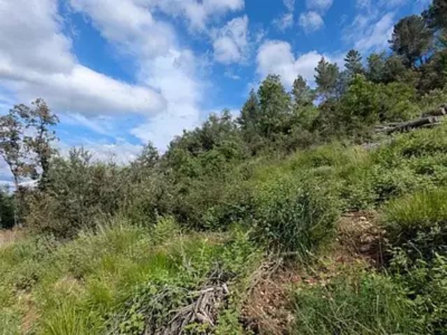 Terrain vente à Brignoles, Carcès