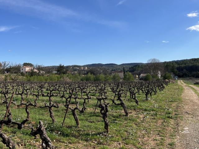 Terrain vente à Brignoles, Carcès