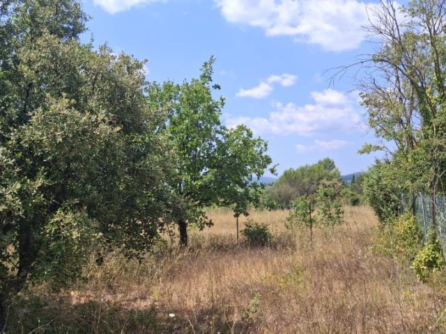 Terrain vente à Carcès, Var