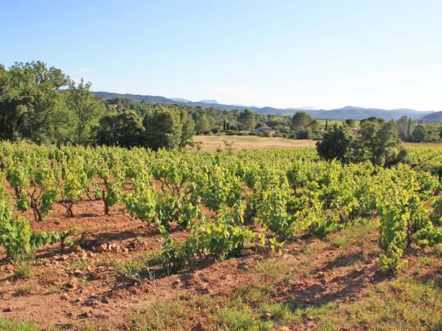 Terrain vente à Carcès, Var