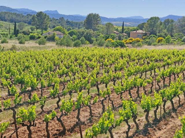 Terrain vente à Brignoles, Carcès