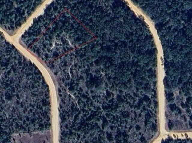 Land for sale in Marianna