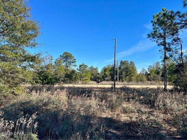 Land for sale in Marianna