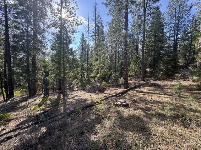 Land for sale in Oregonia