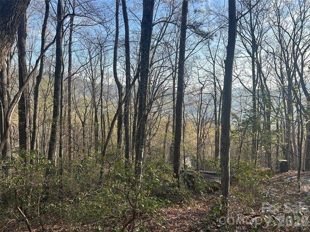 Land for sale in Rutherford, North Carolina