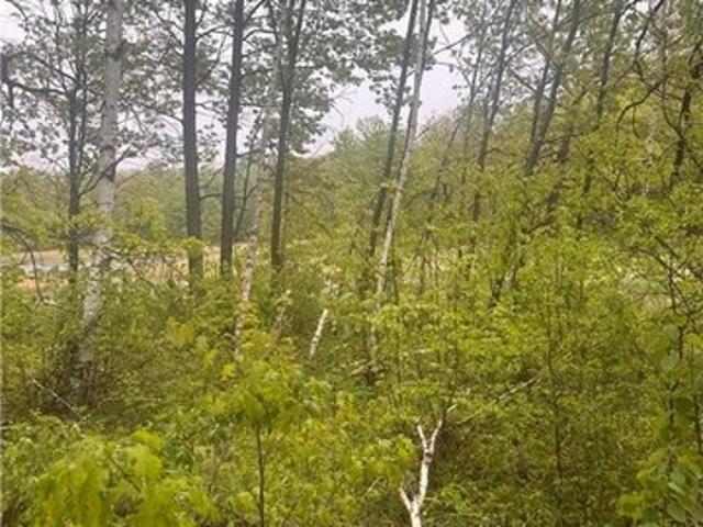 Land for sale in Morrison, Minnesota