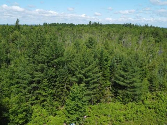 Land for sale in Greenbush, Maine