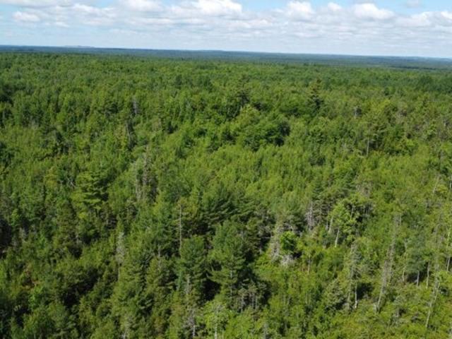 Land for sale in Cardville, Greenbush